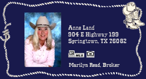 Anne Land Real Estate Logo - Professional Real Estate Agent for over 25 years. Northwest Fort Worth Area!