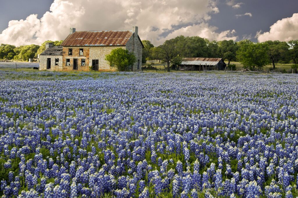 Beautiful Country Home in a field of Bluebonnets - Anne Land Real Estate, Buy, Sell, Real Estate Agent